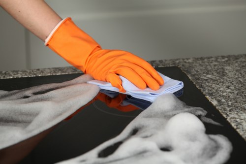 Professional cleaner in Kensington providing home cleaning services