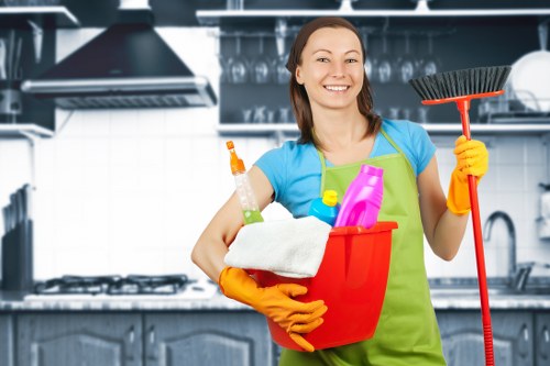 Deep cleaning a dirty oven door glass in Kensington
