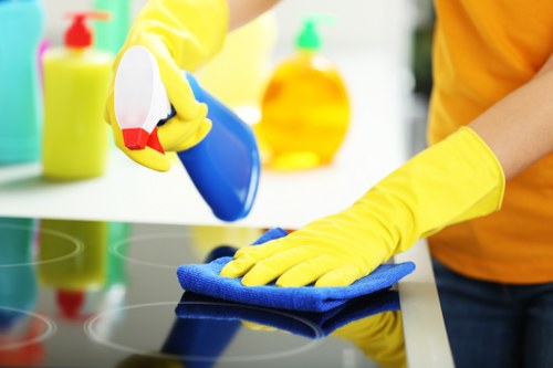 Cleaning team managing an agreed service at a property