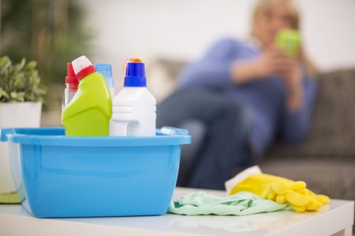 Professional domestic cleaning supplies in a Kensington residence